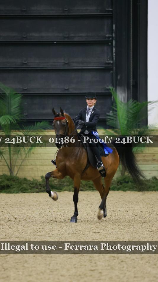 Proof 24BUCK_01386