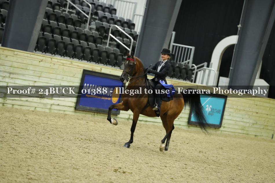 Proof 24BUCK_01388