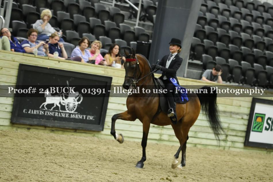 Proof 24BUCK_01391