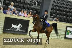 24BUCK_01391 proof