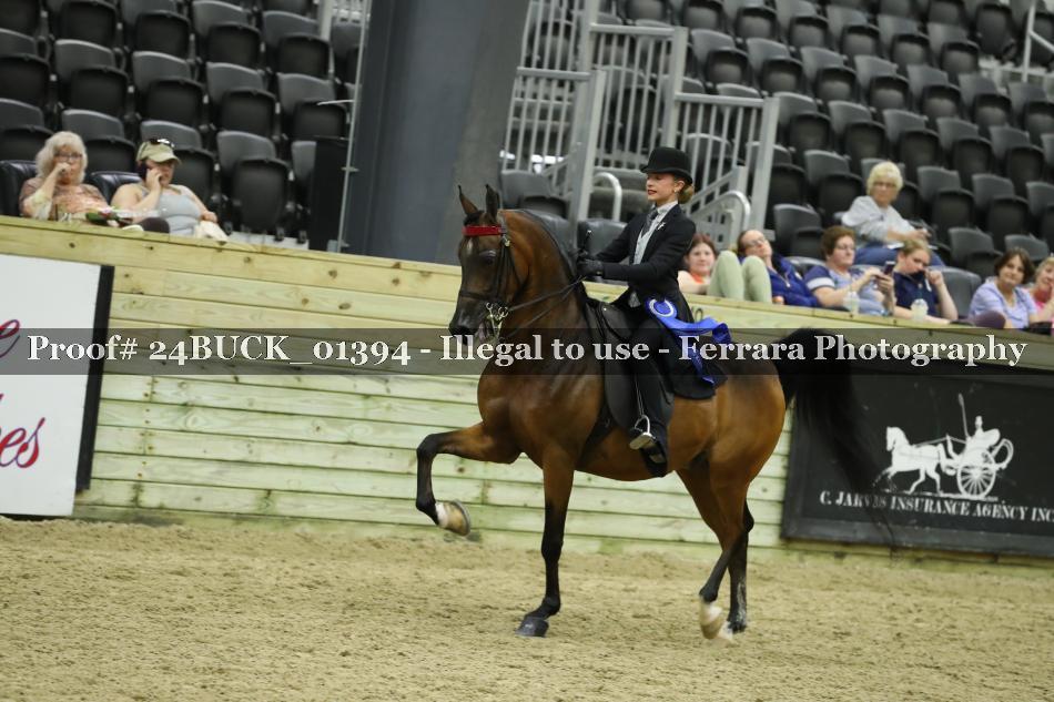 Proof 24BUCK_01394
