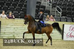 24BUCK_01397 proof