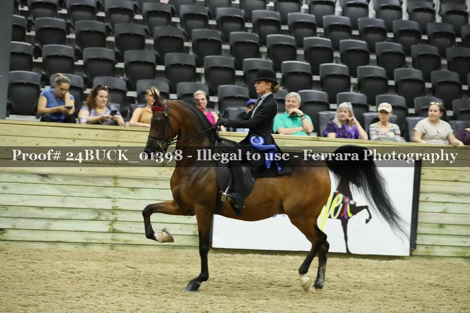 Proof 24BUCK_01398