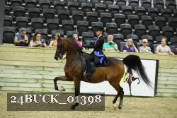 24BUCK_01398 proof