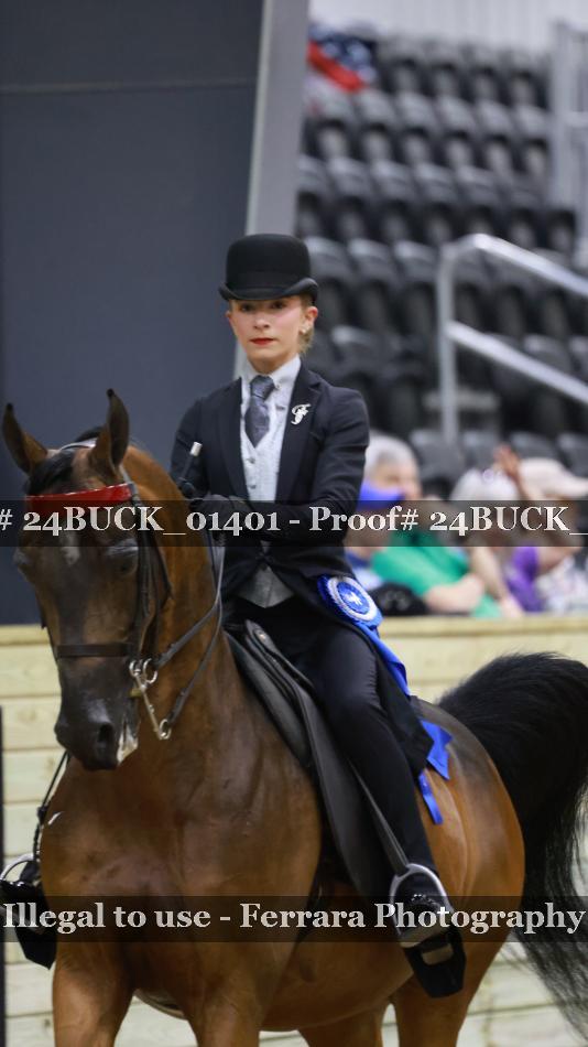 Proof 24BUCK_01401