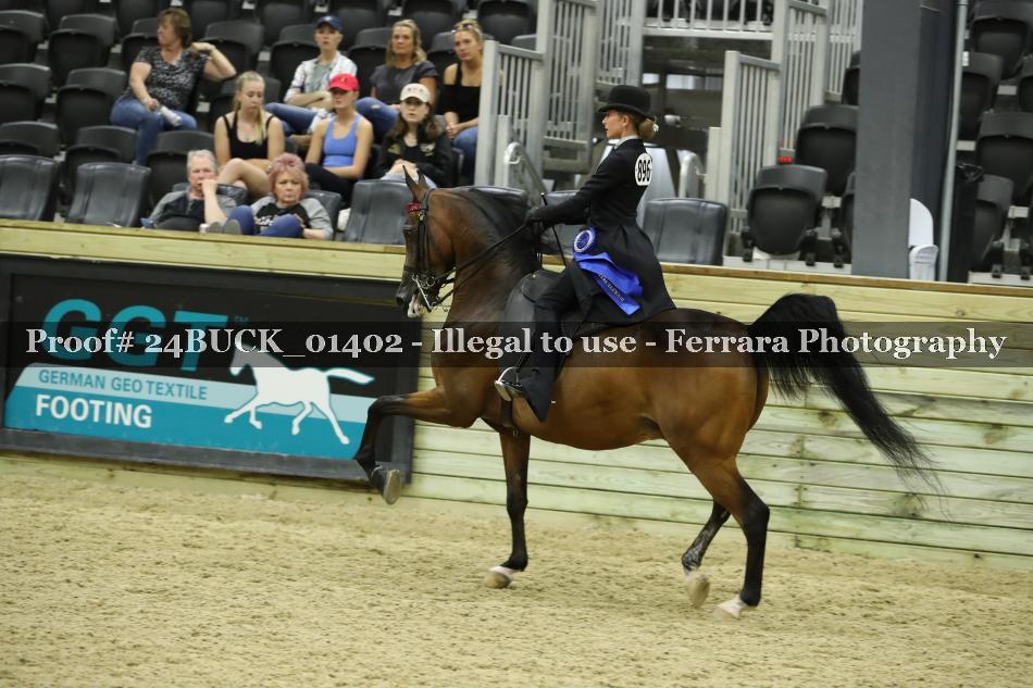 Proof 24BUCK_01402
