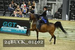 24BUCK_01402 proof