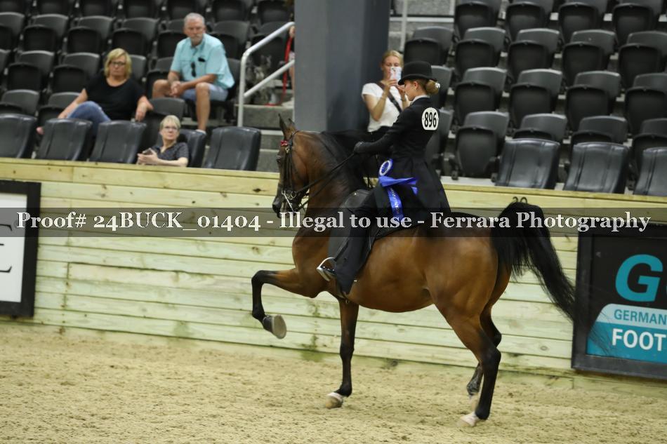 Proof 24BUCK_01404