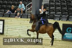 24BUCK_01404 proof