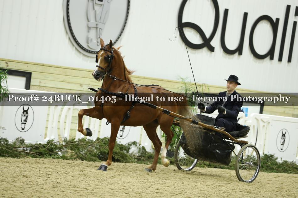 Proof 24BUCK_01405