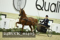 24BUCK_01405 proof