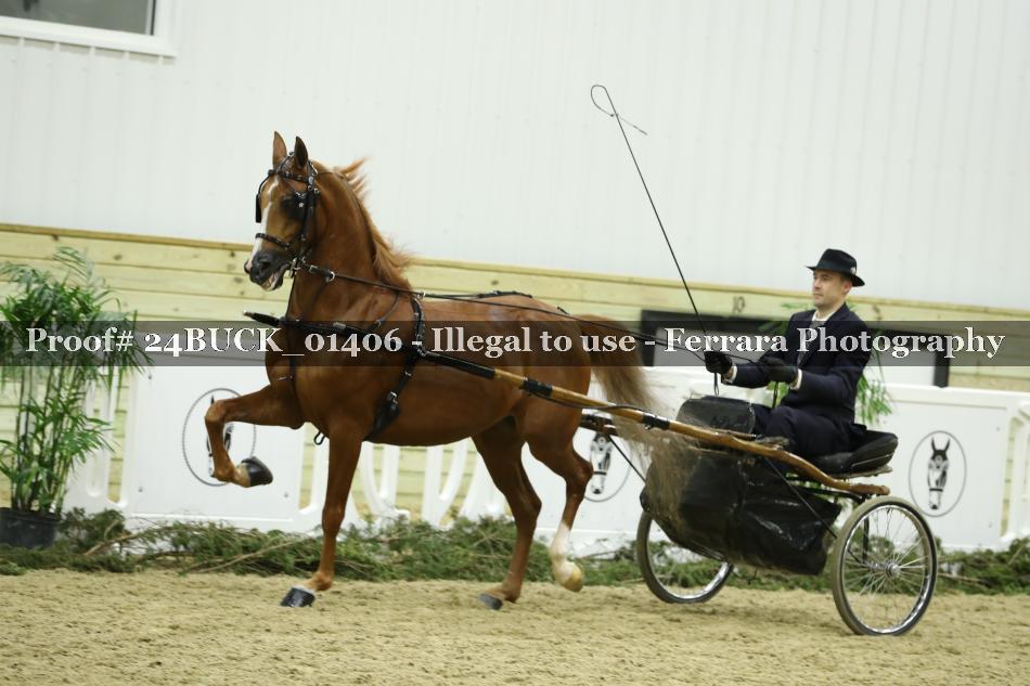 Proof 24BUCK_01406