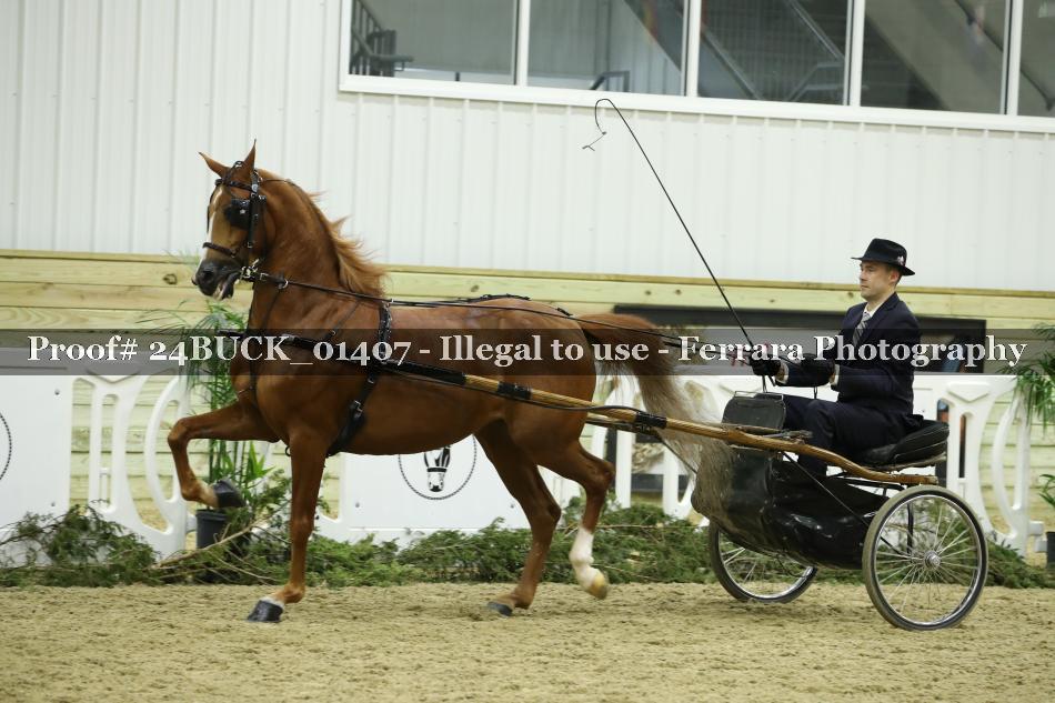 Proof 24BUCK_01407