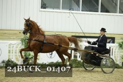 24BUCK_01407 proof
