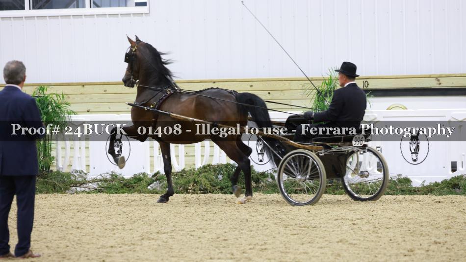 Proof 24BUCK_01408