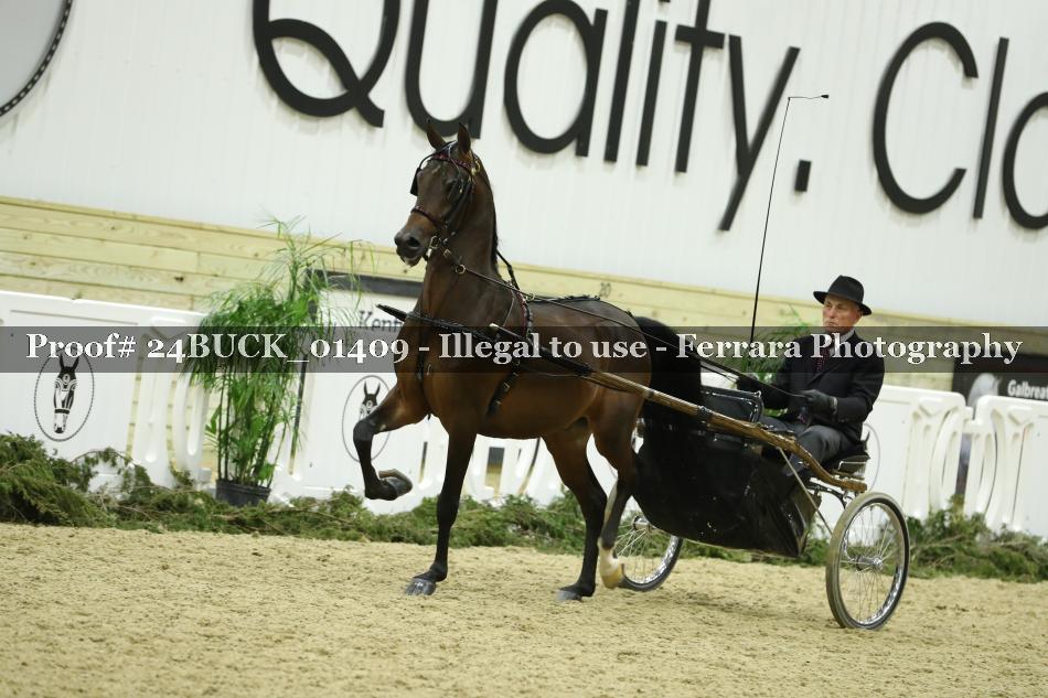 Proof 24BUCK_01409