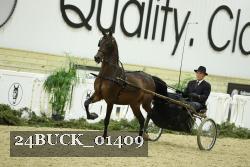 24BUCK_01409 proof