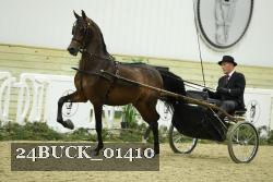 24BUCK_01410 proof