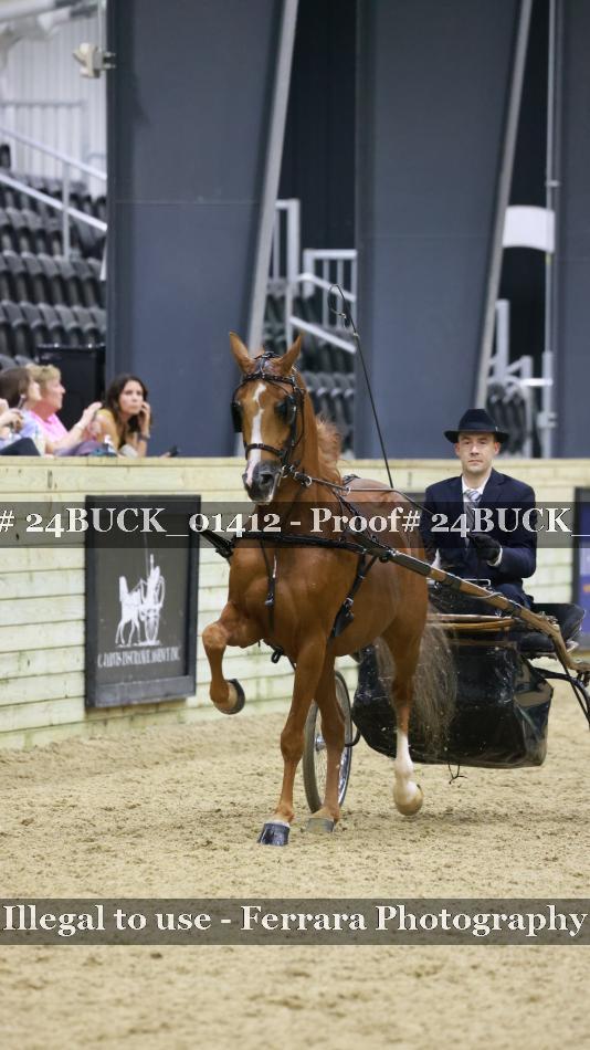 Proof 24BUCK_01412