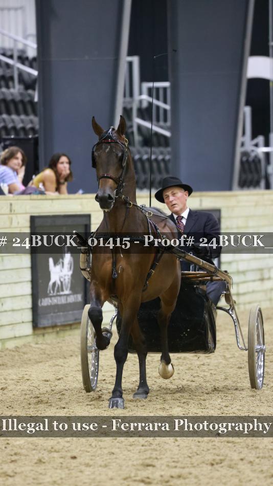 Proof 24BUCK_01415