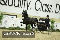 24BUCK_01416 proof
