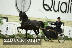 24BUCK_01417 proof