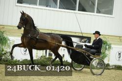 24BUCK_01420 proof