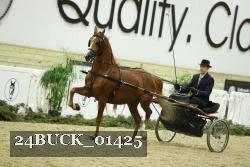 24BUCK_01425 proof