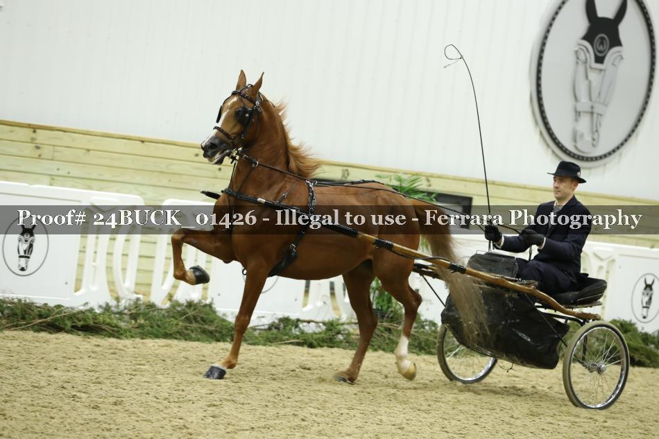 Proof 24BUCK_01426