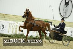 24BUCK_01426 proof