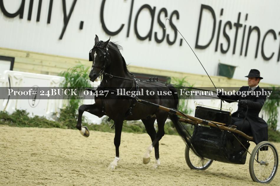 Proof 24BUCK_01427
