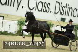 24BUCK_01427 proof