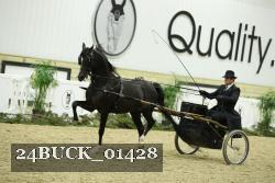 24BUCK_01428 proof