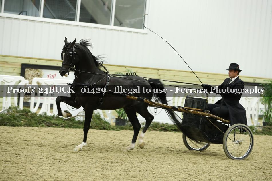 Proof 24BUCK_01429