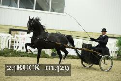 24BUCK_01429 proof