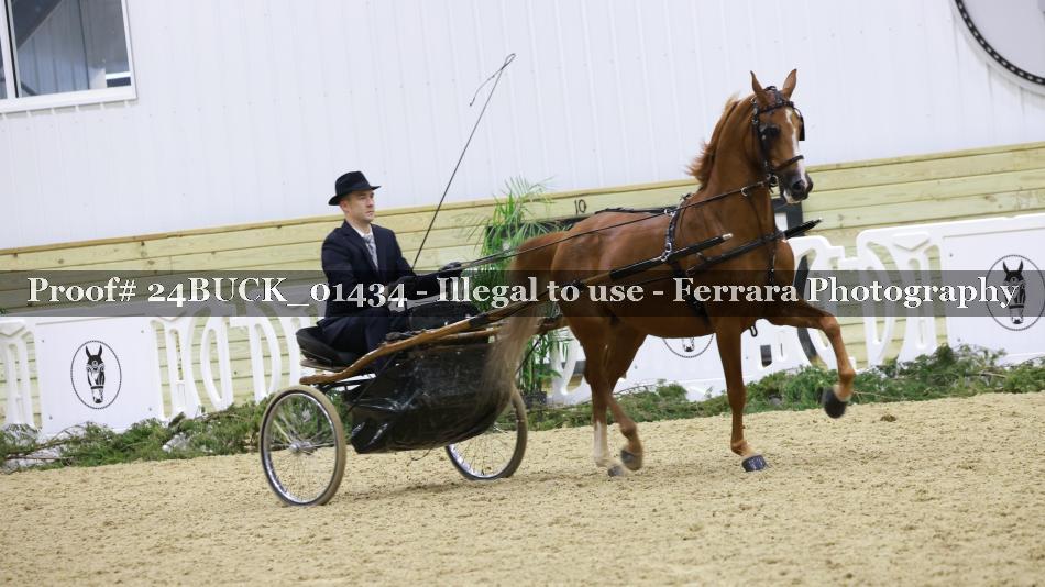Proof 24BUCK_01434