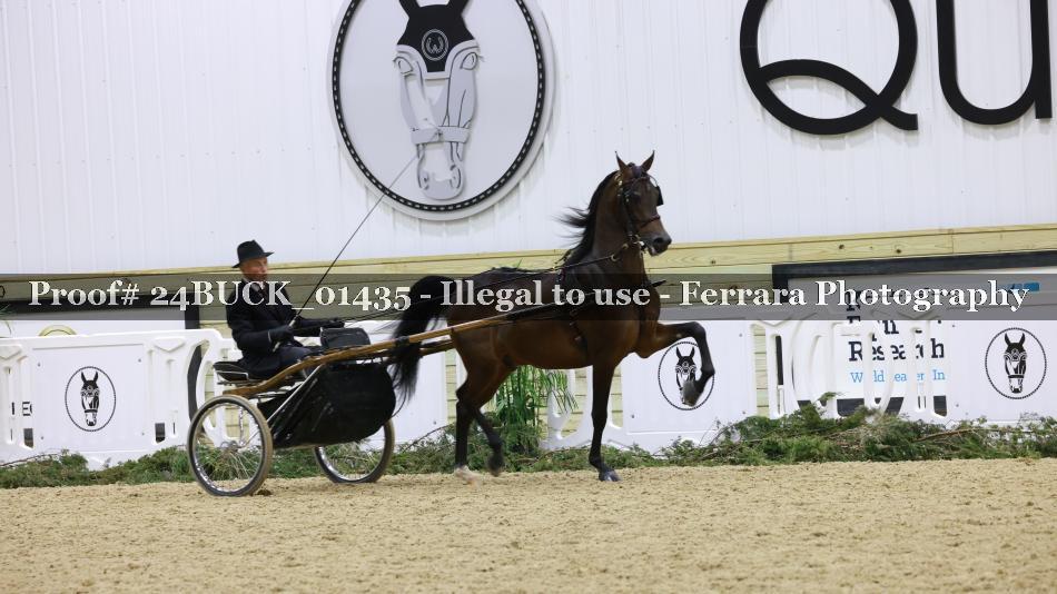 Proof 24BUCK_01435