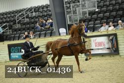 24BUCK_01436 proof