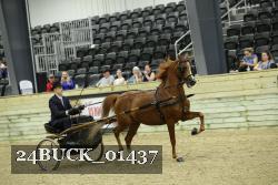 24BUCK_01437 proof
