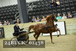 24BUCK_01438 proof