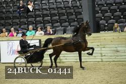 24BUCK_01441 proof