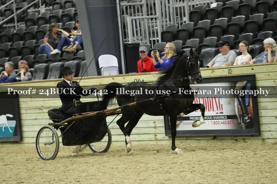 Proof 24BUCK_01442