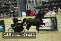 24BUCK_01442 proof
