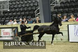 24BUCK_01443 proof