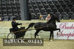 24BUCK_01445 proof