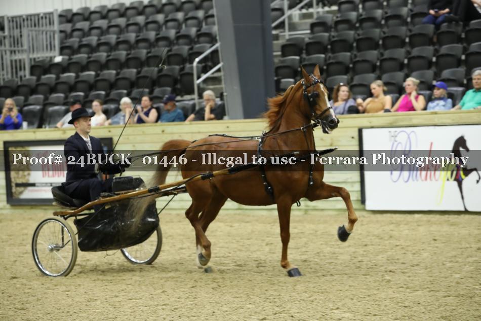 Proof 24BUCK_01446