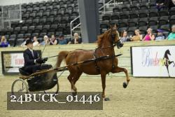 24BUCK_01446 proof