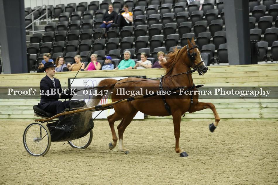 Proof 24BUCK_01447