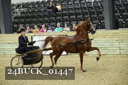 24BUCK_01447 proof