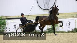 24BUCK_01448 proof